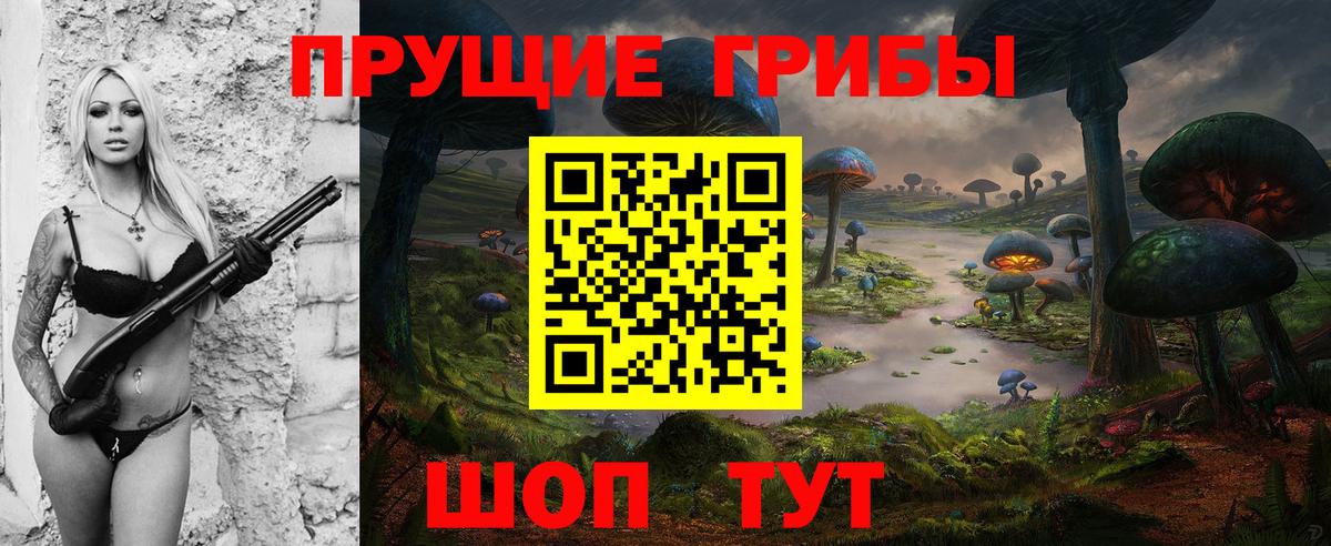 Псилоцибиновые грибы GOLDEN TEACHER Армавир