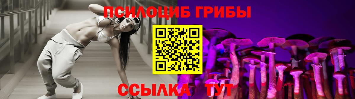 Армавир  Псилоцибиновые грибы Cubensis  Вход с VPN 